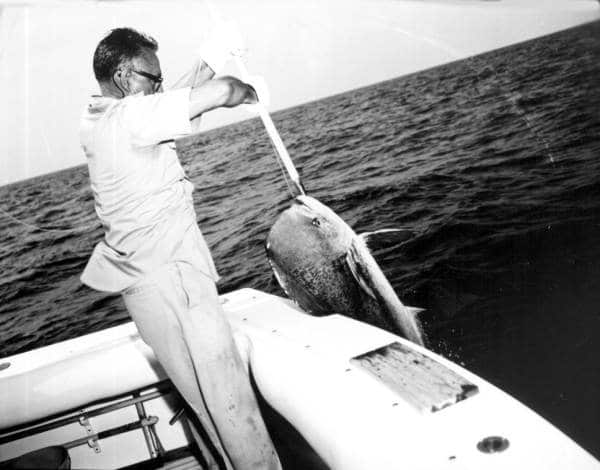 Vintage Florida fishing photo gaffing dolphin mahimahi dorado