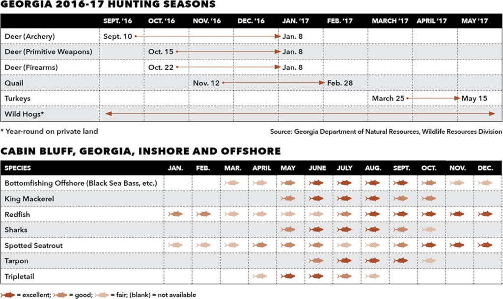 Georgia Fishing and Hunting Seasons
