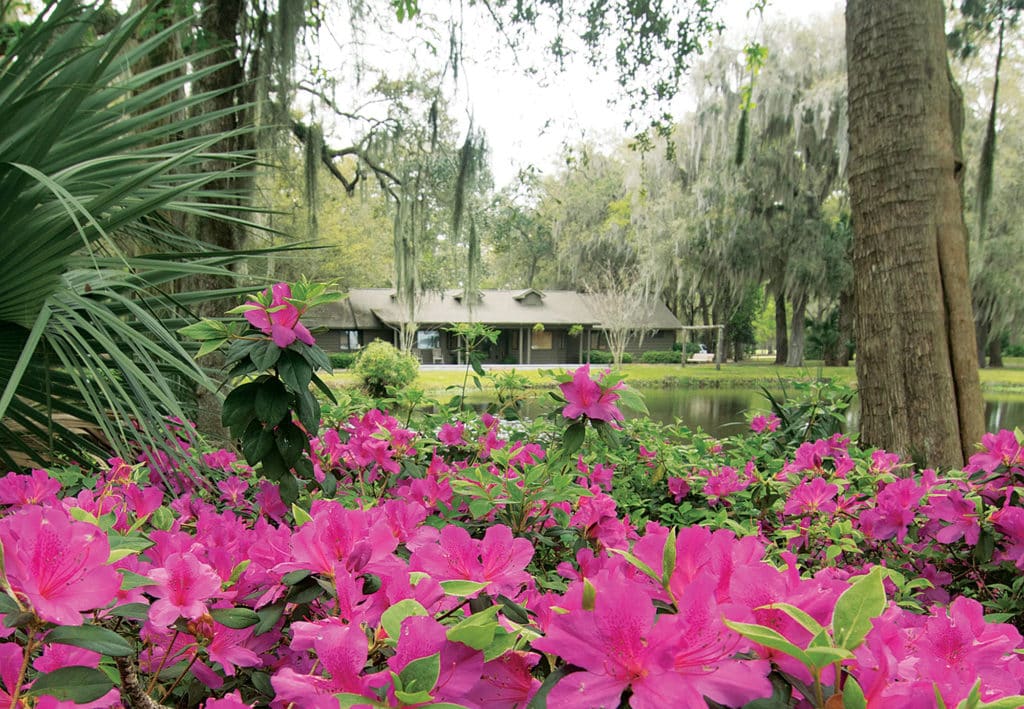 Cabin Bluff Lodge in Spring