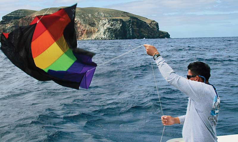 Cabo Kite Fishing