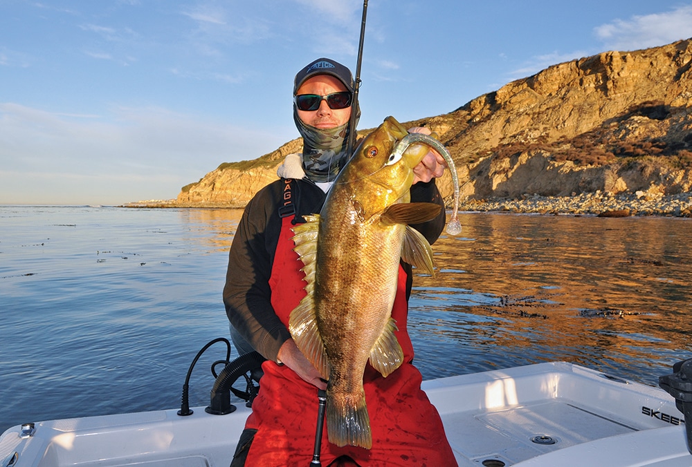 Saltwater angler holding calico bass caught fishing long soft swimbait lure