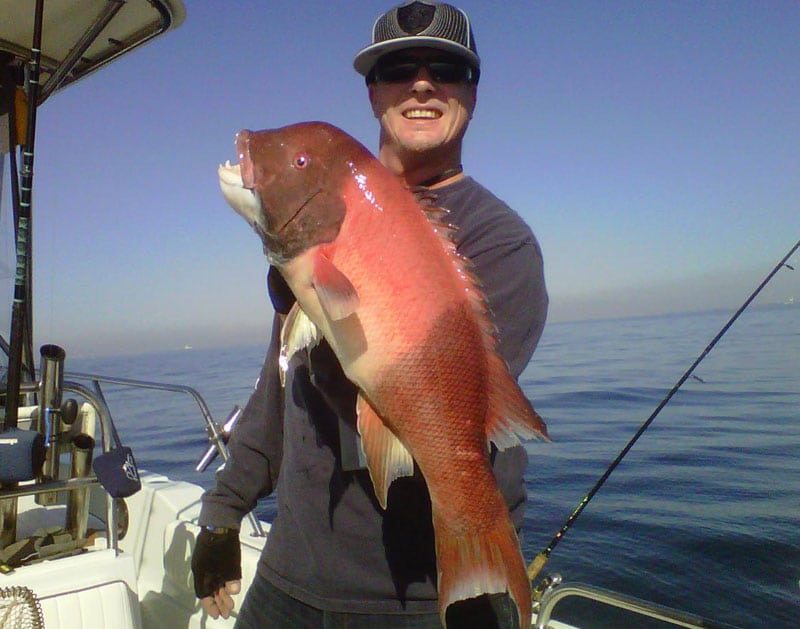 california-bottomfish_02.jpg