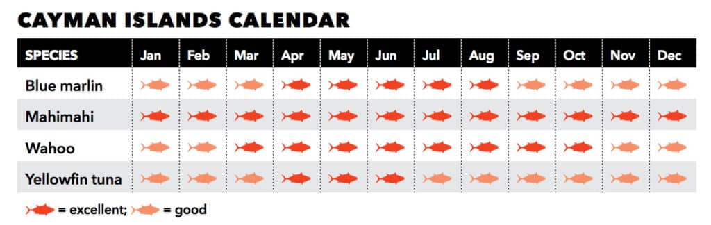 Cayman Islands fishing species availability by month