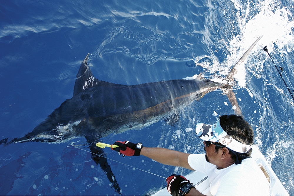 canyon-fishing-7-josh-temple.jpg