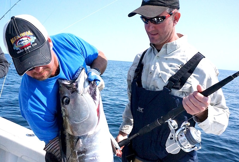 cape cod bluefin_24.jpg