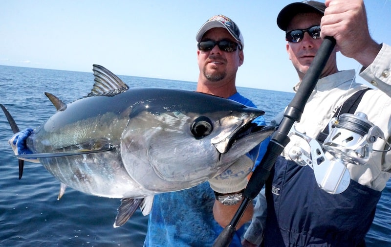 cape cod bluefin_25.jpg