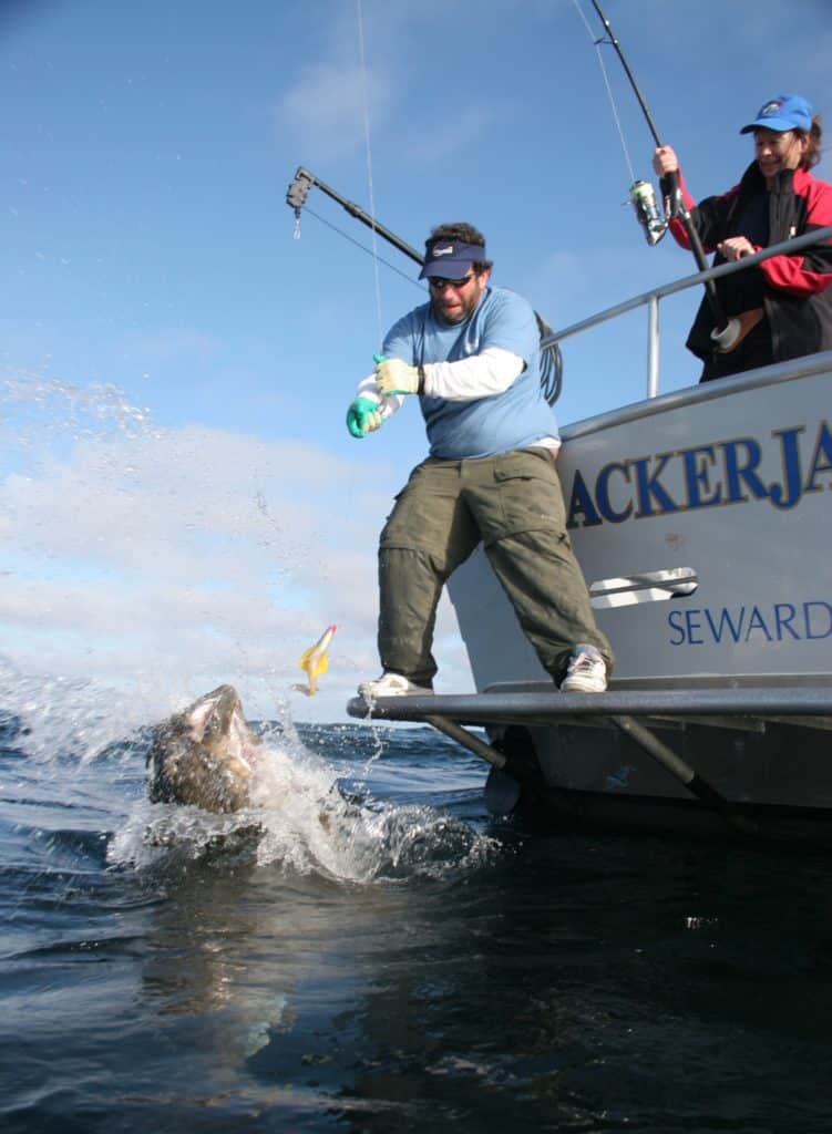 Capt. Andy Mezirow to release a huge halibut at the boat