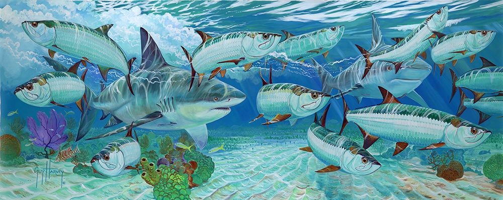 Guy Harvey painting caribbean encounter