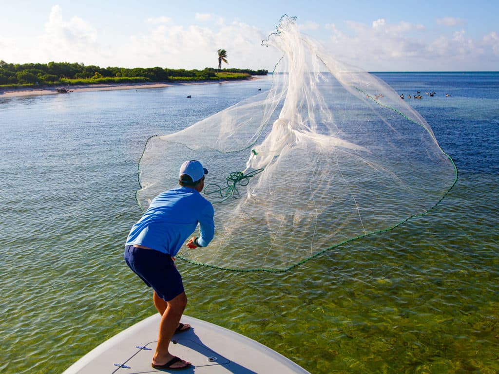 castnet baitfish