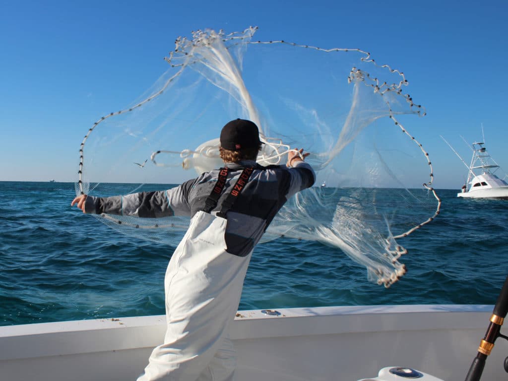 cast net in Florida