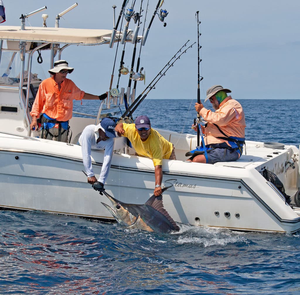 Anglers releasing blue marlin from Stamas center console fishing boat deep sea