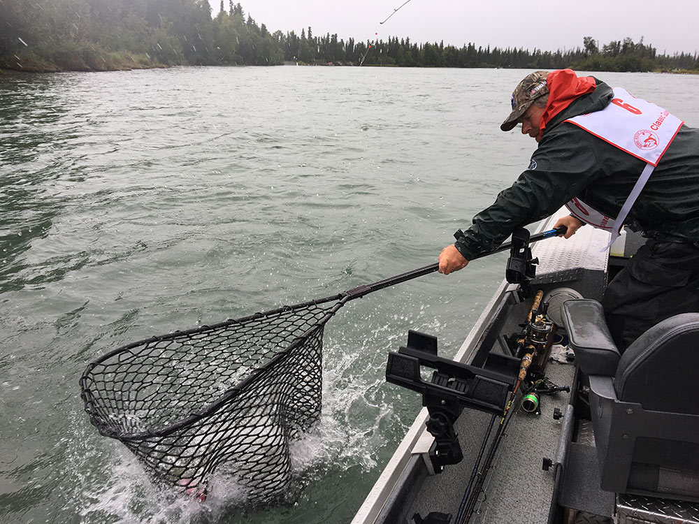 Netting a Salmon in the Kenai River