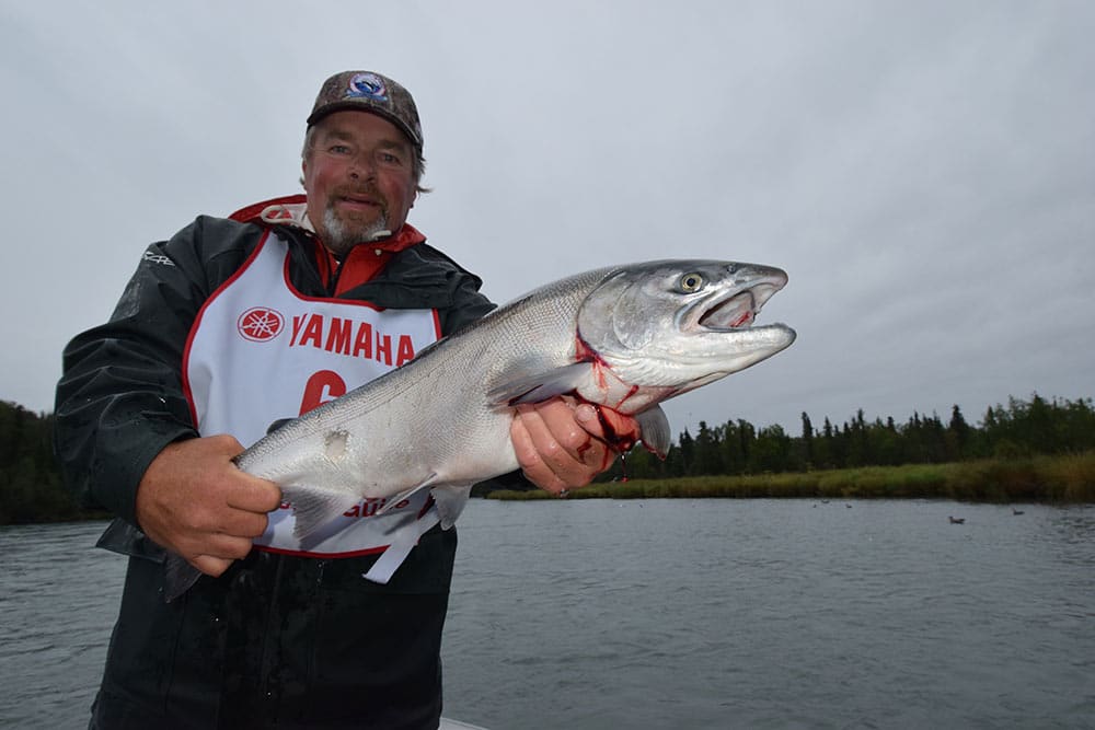 Kenai River Salmon