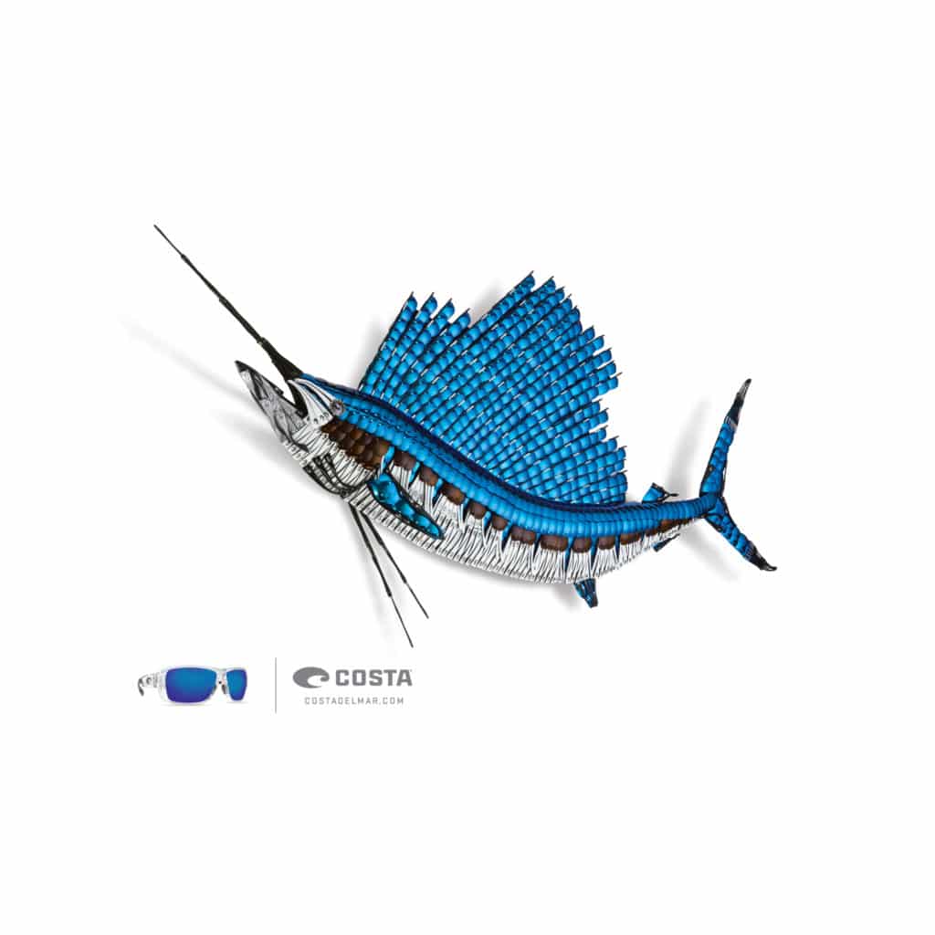 Costa Sailfish