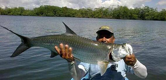 Tarpon in Pacific Costa Rica Focus of New Study