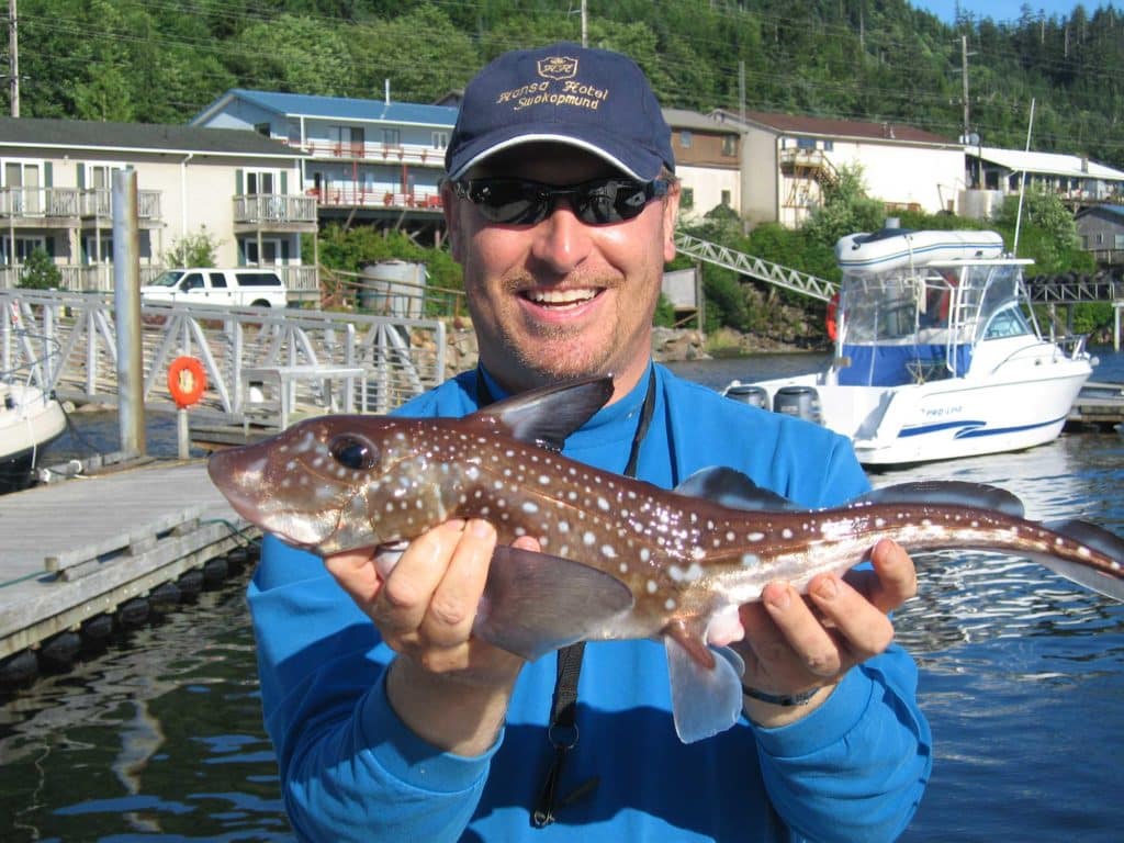 Chimaera (aka spotted ratfish)