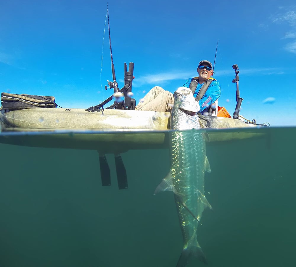 tarpon catch