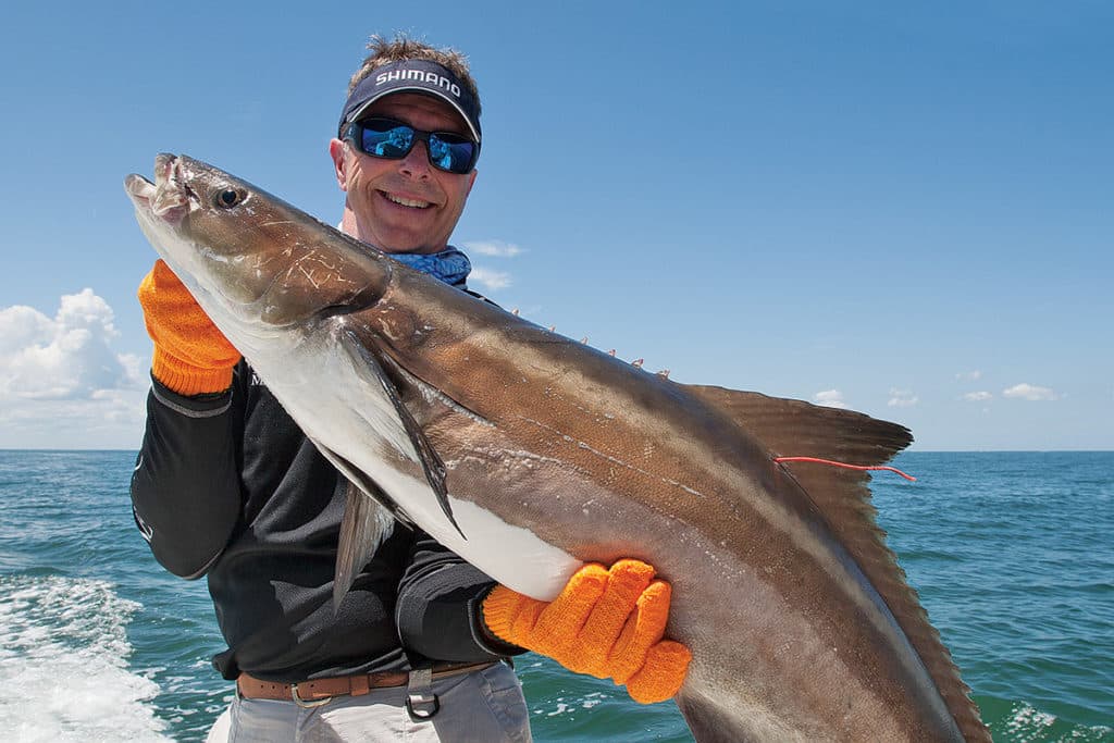 cobia grip and grin