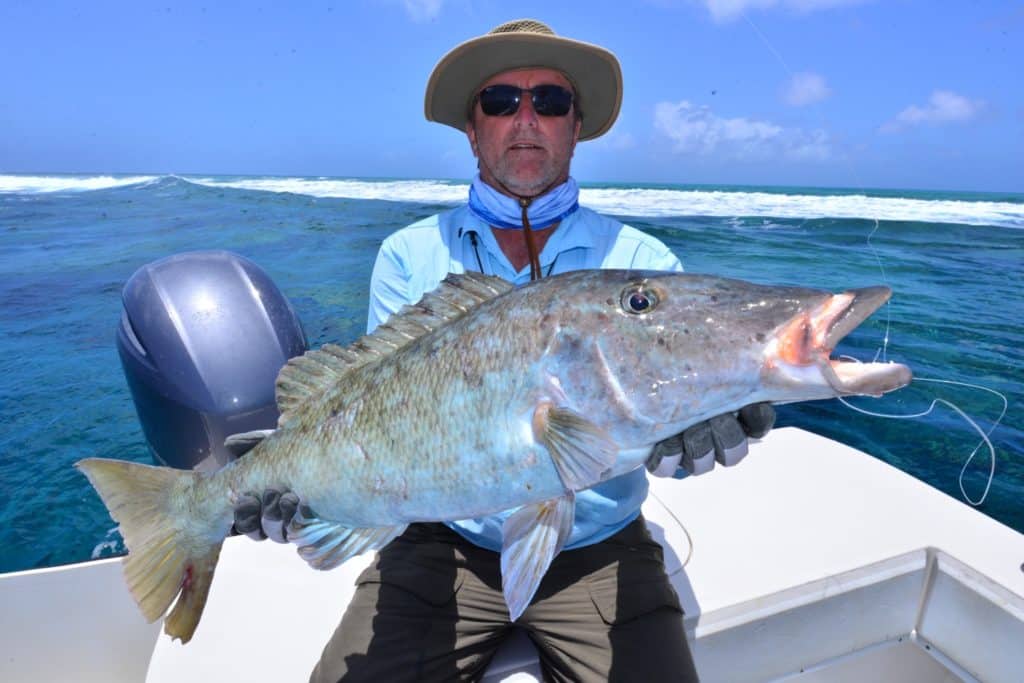 fishing Australia's Great Barrier Reef longface emperor saltwater game fish