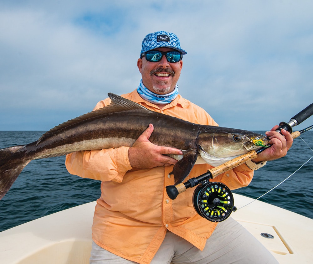 cobia caught fly fishing