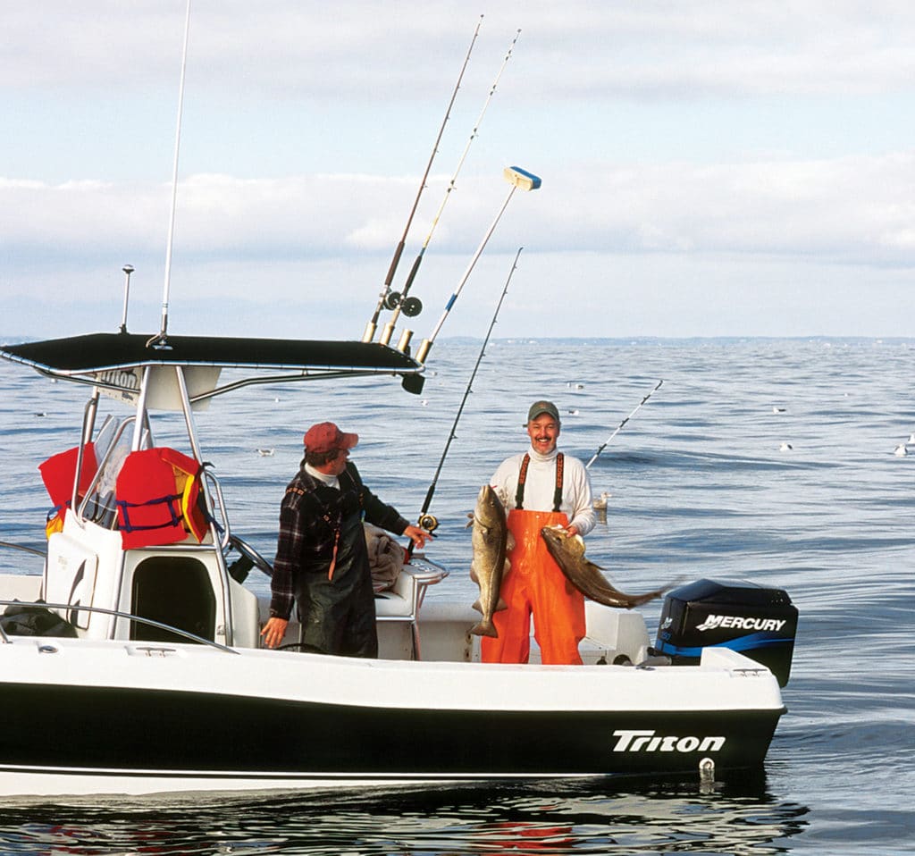 Cod Fishing North Atlantic