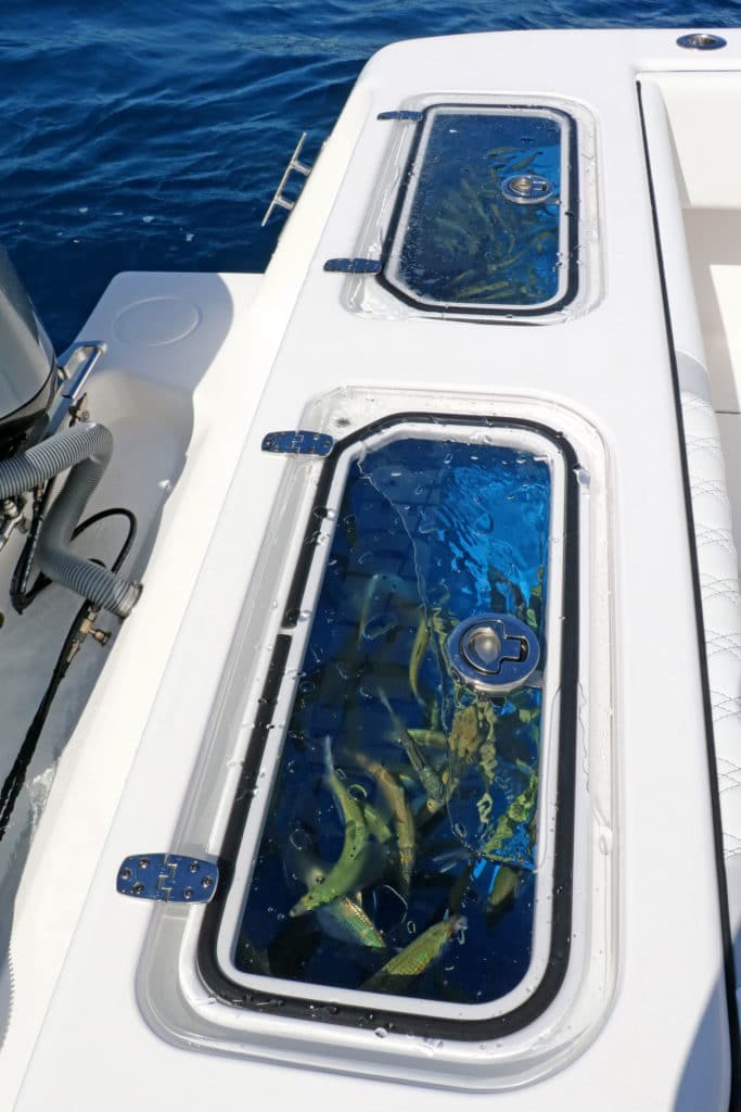 Transom livewells aboard Contender 39 Fisharound boat