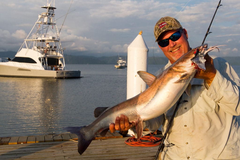 Catfish caught dock fishing Crocodile Bay Resort Costa Rica