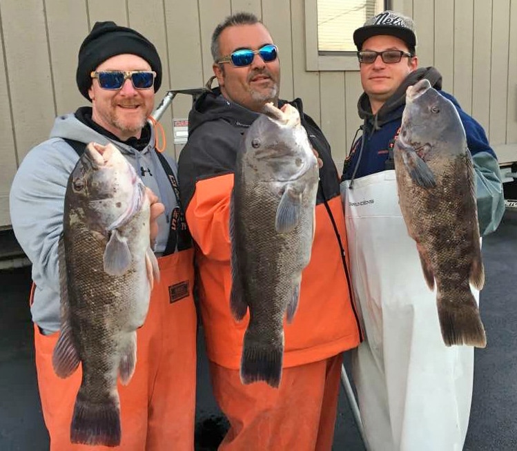 Anglers with tautog affter a day fishing with Capt. Rob Crocitto, a Sport Fishing Charter Captain of the Year 2017