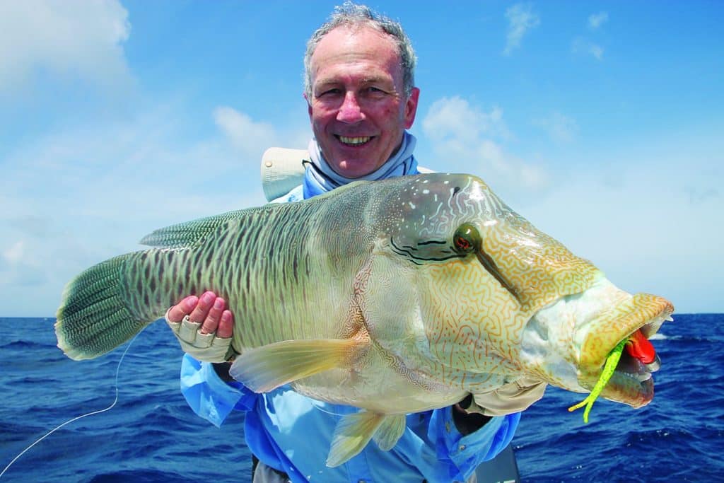 Australia's Great Barrier Reef — a maori wrasse