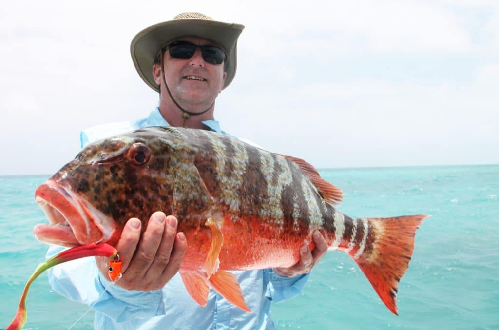 fishing Australia's Great Barrier Reef Chinaman fish saltwater game fish