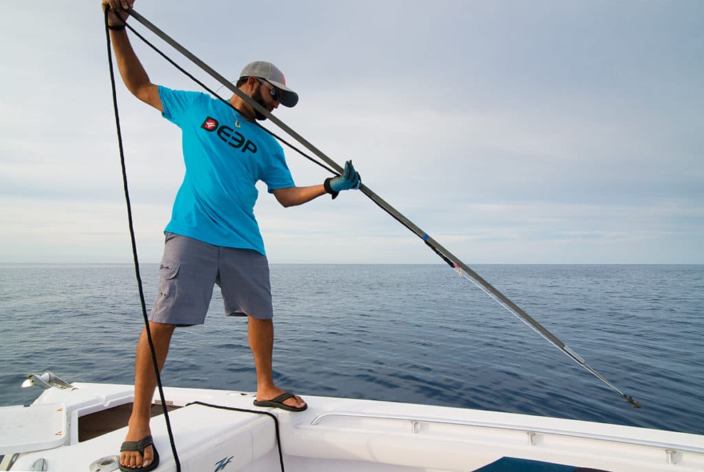 Angler standing on fishing boat ready to harpoon a swordfish