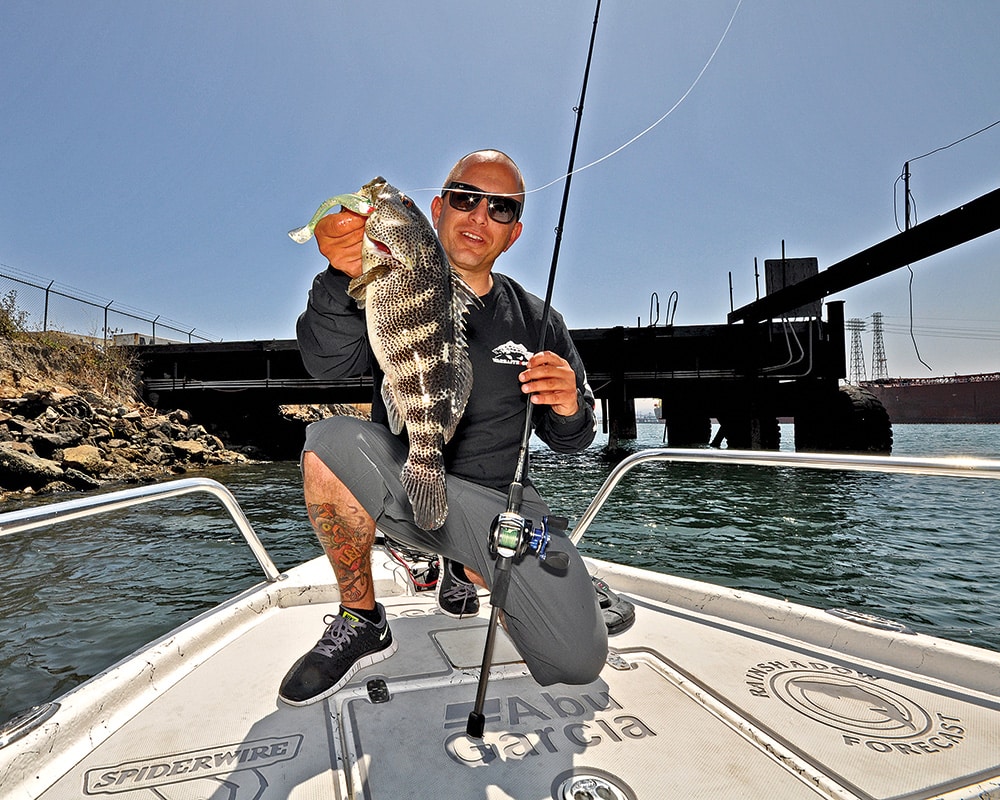 spotted bay bass catch