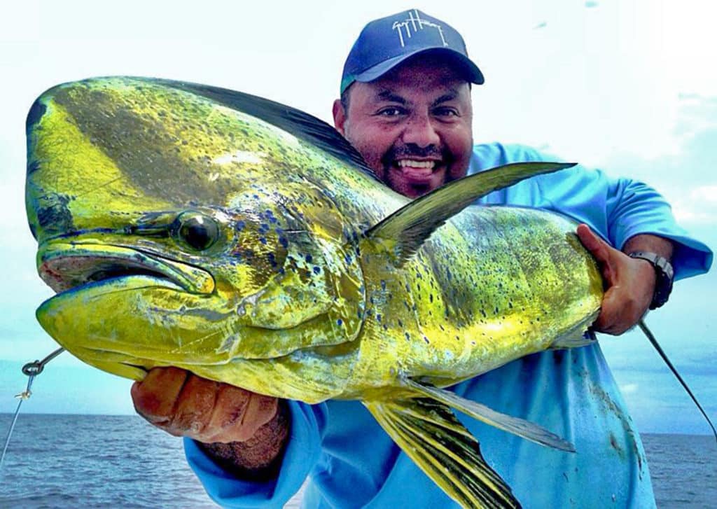 Dolphin Mexico Fishing Photo