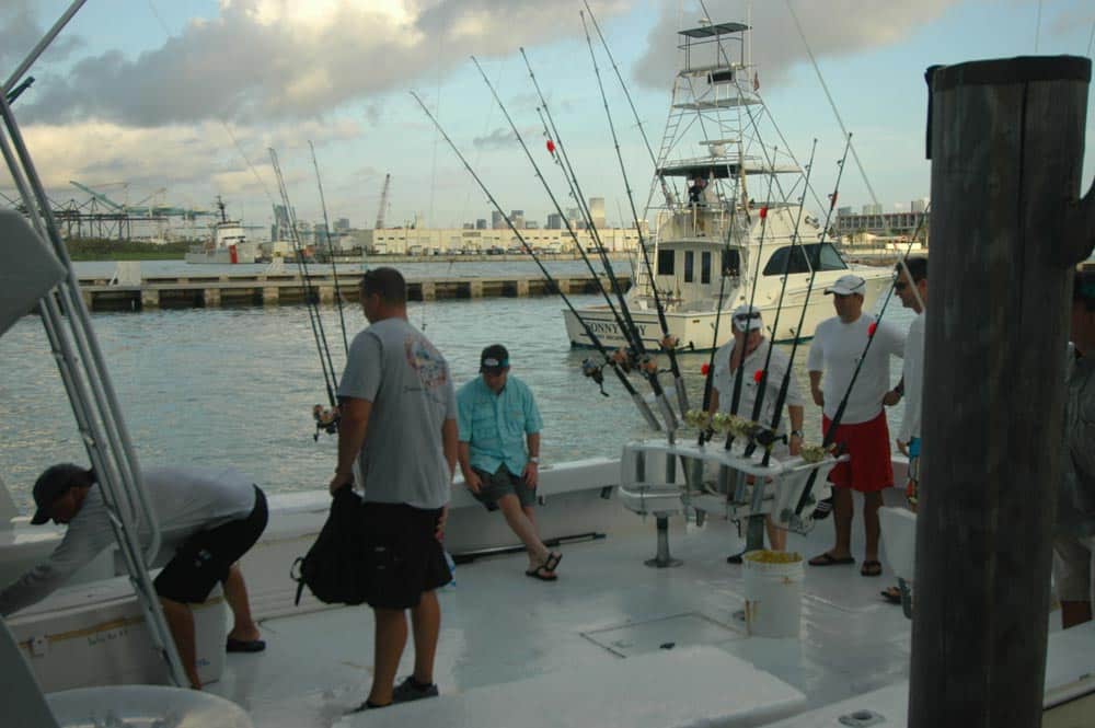 dolphins_fishing_08.jpg