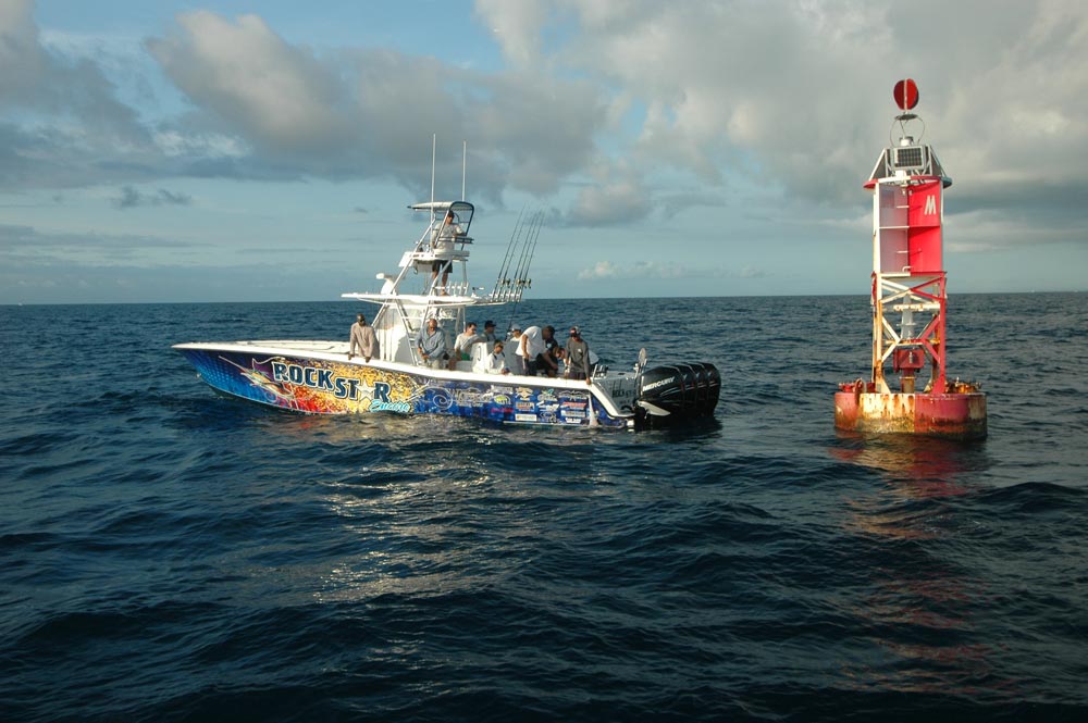 dolphins_fishing_10.jpg