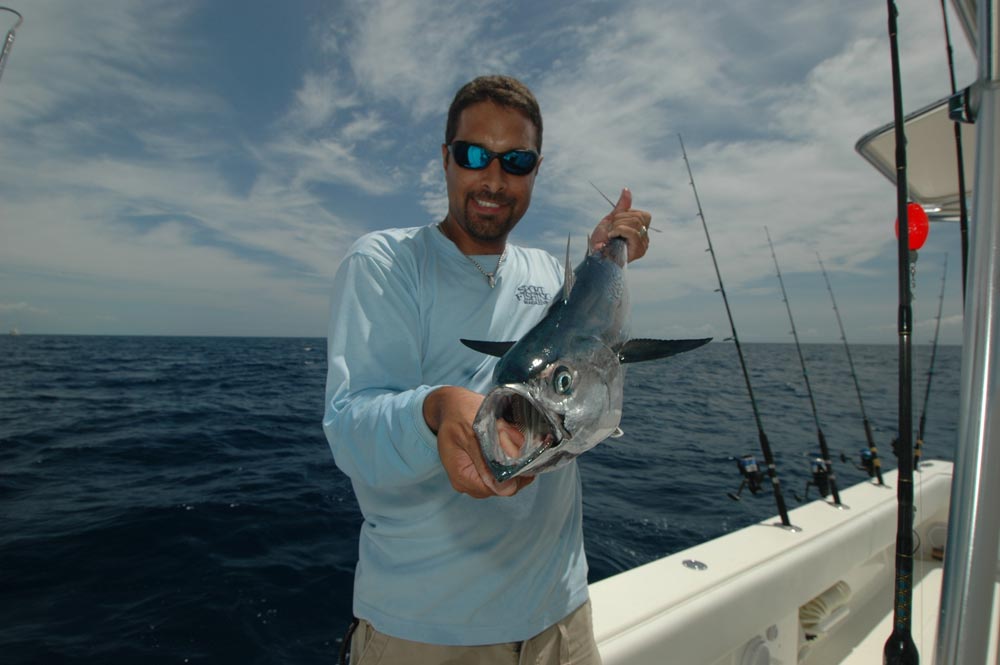 dolphins_fishing_14.jpg