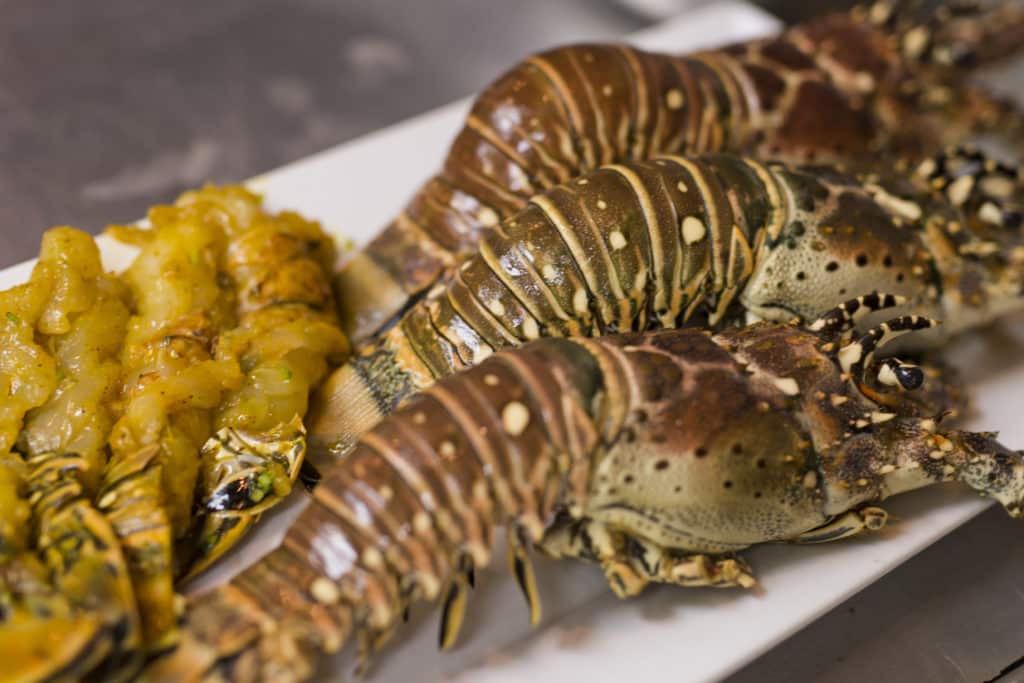 Grand Bahama Island cuisine curried lobster tails