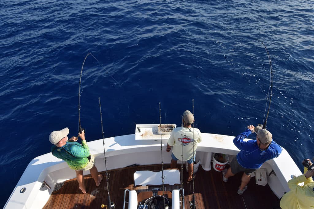 Double Hookup in the Gulf of Mexico