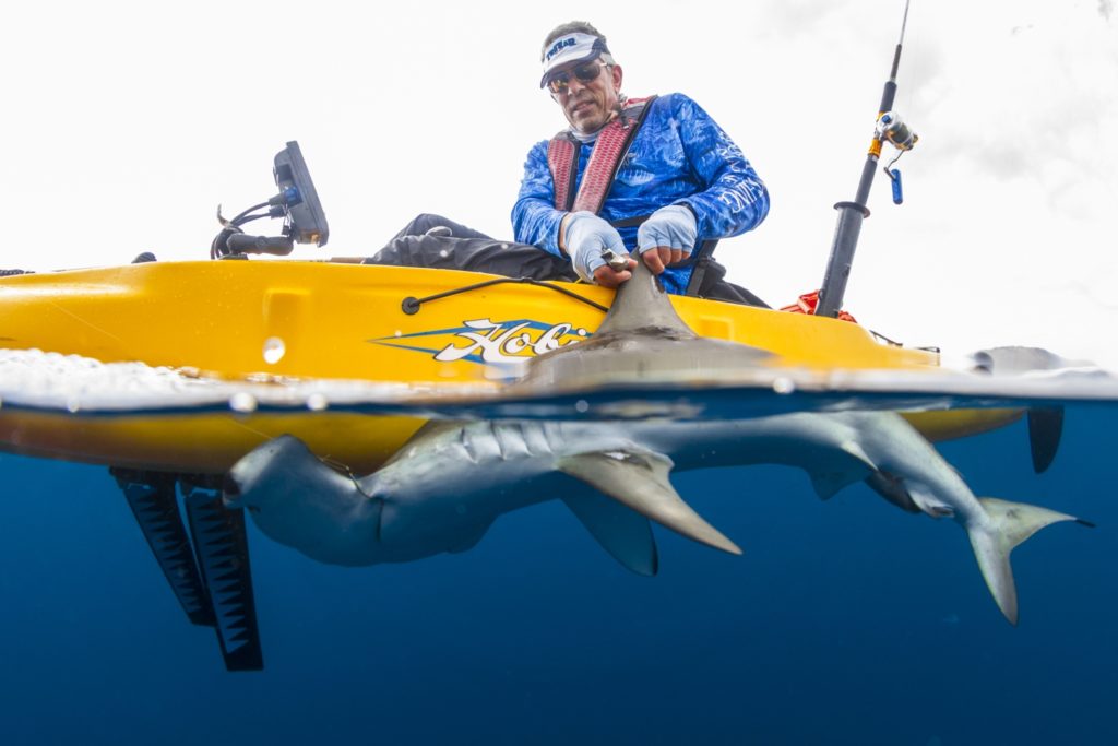 hammerhead shark over/under photo saltwater fisherman Hobie kayak fishing Baja’s Central Sea of Cortez