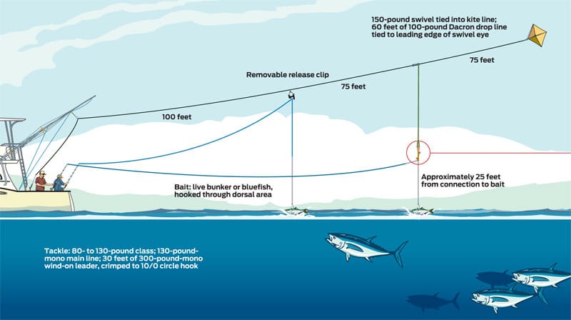 drop-line-diagram.jpg