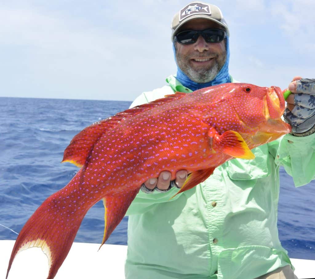 fishing Australia's Great Barrier Reef coronation trout saltwater game fish