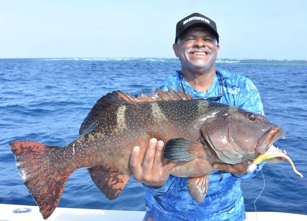 Australia's Great Barrier Reef — coral trout on Z-Man lure