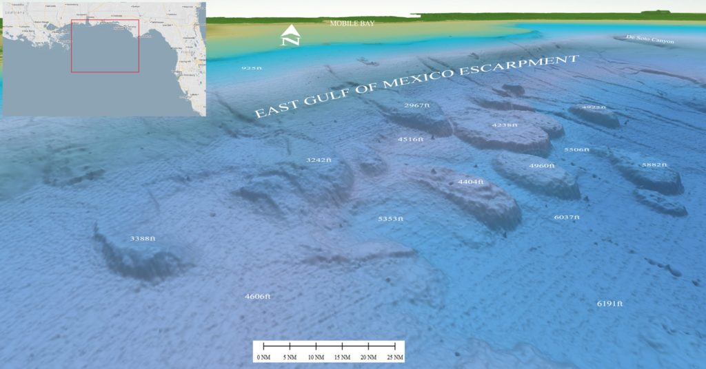 3D contour map of eastern Gulf of Mexico escarpment