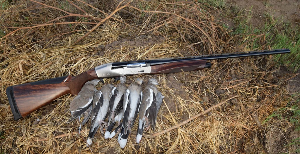 Benelli Ethods and White Winged Doves