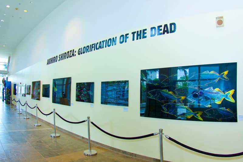 Akihiro Shiroza exhibition IGFA museum
