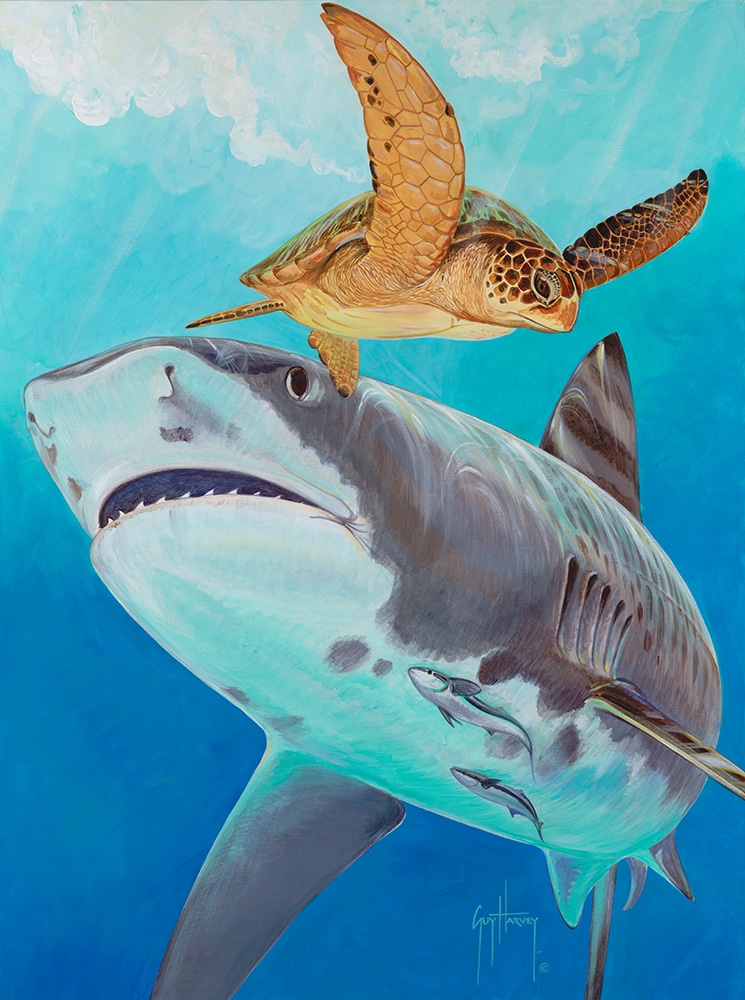 Guy Harvey painting eye of the tiger