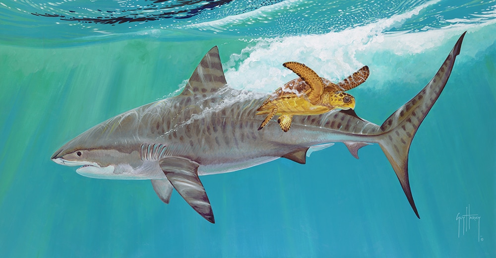 Guy Harvey painting fair game