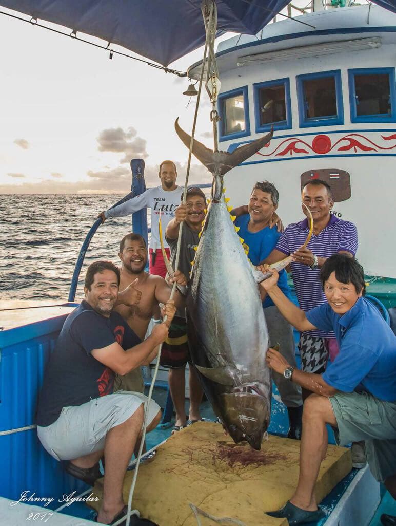 Costa Rica Approves Greenstick Tuna Licenses