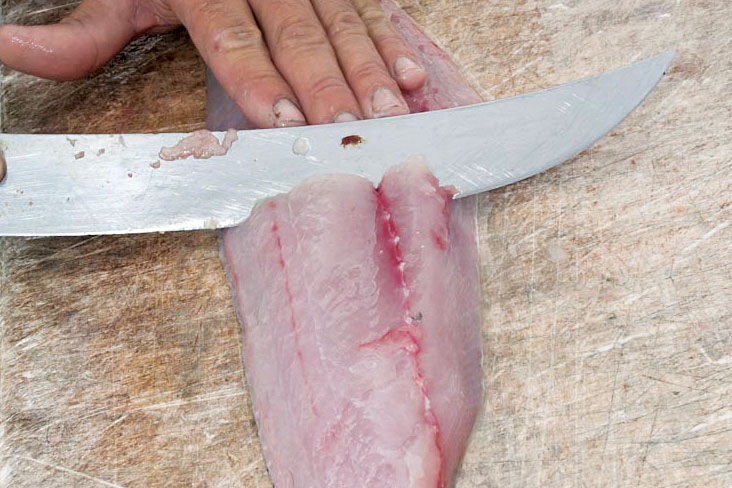 How to fillet fish mahi dolphinfish dorado
