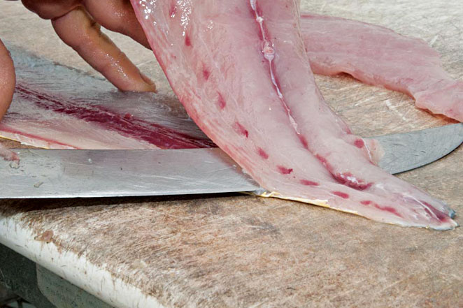 How to fillet fish mahi dolphinfish dorado
